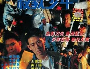 1995年香港动作片杀戮少年 王书麒 黄子扬 国粤双语无字幕