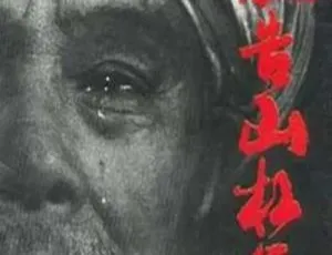 1994中国大陆经典剧情片被告山杠爷 真实故事改编 在线观看
