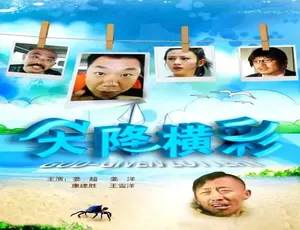 天降横彩 2010年中国大陆经典电影 普通话版
