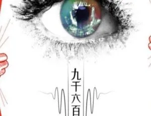 1990中国纪录片九千六百万双眼睛国语中字高清-蓝海网