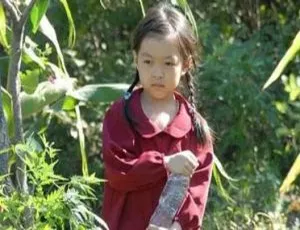 2012中国大陆剧情片 路的远方 国语中字版