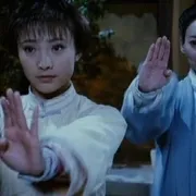 2010功夫咏春高清