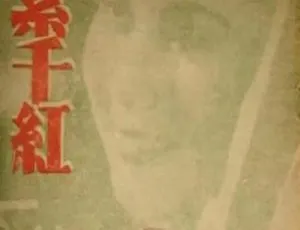 《万紫千红》1943 国语中字版