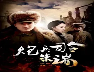 炮兵司令朱瑞 2013 国语高清 全剧珍藏版