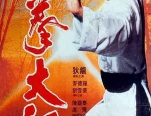 1984 香港邵氏经典 洪拳大师 国粤双语 中文字幕 动作电影