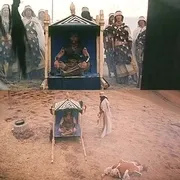 悲情布鲁克1995