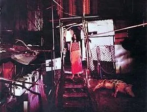 2001香港电影香港有个荷里活粤语中字