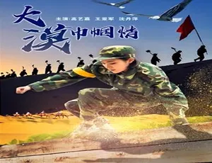 大漠巾帼情 2018中国大陆剧情片 汉语普通话高清完整版