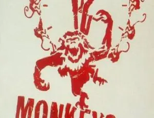 1996美国高分科幻悬疑 十二只猴子 布鲁斯·威利斯 布拉德·皮特 三语配音 中文字幕