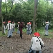 侠盗杨天淳
