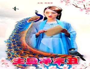 2018 中国大陆 生旦净末丑 汉语普通话 高清