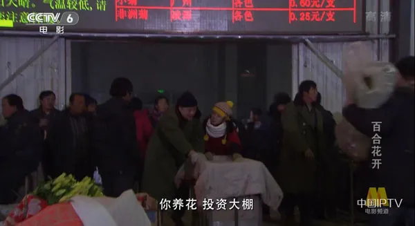 乡村振兴励志片