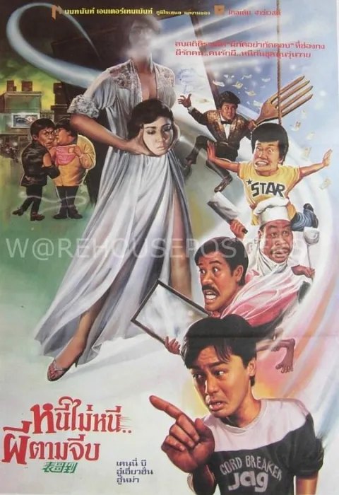 表哥到 1987