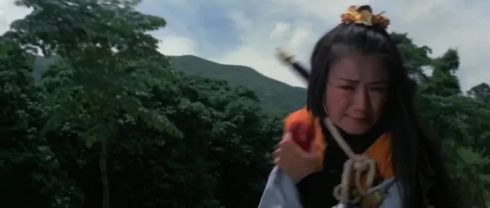 1970邵氏动作片