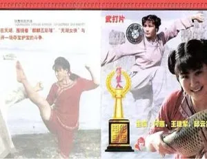 1988 中国经典动作片 天湖女侠 国语无字幕 FLV-蓝海网