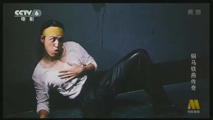1995武侠电影高清