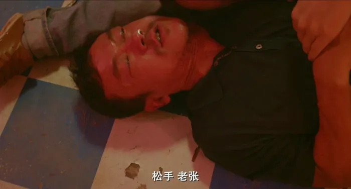廖凡 桂纶镁