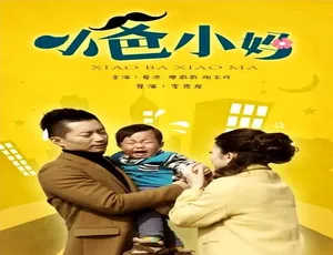 2016小爸小妈 中国大陆家庭剧 汉语普通话全剧