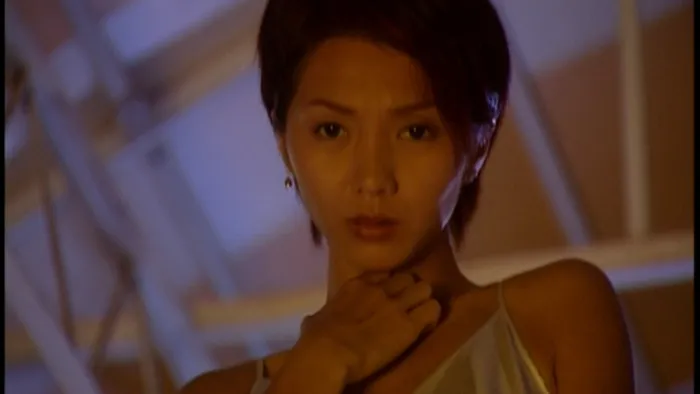 2002香港犯罪片