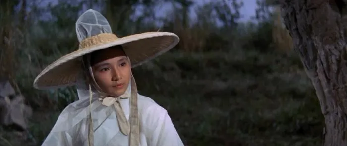 郑佩佩 武侠电影