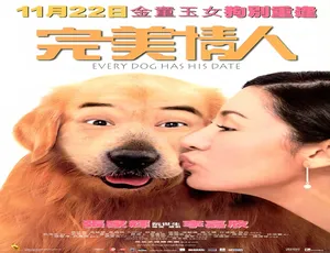2001 中国香港 完美情人 国语 高清版