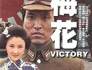 1976中国经典剧情片梅花 柯俊雄 国语中字 FLV高清-蓝海网