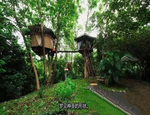 树屋大师纪录片 第十一季全11集 1080P高清 英语中文字幕-蓝海网