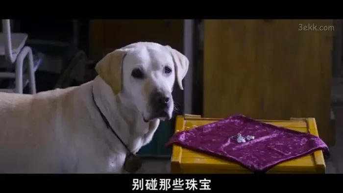 心心历险记 高清韩语
