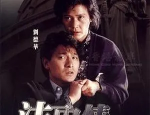 1988香港法内情+大结局国语无字MKV