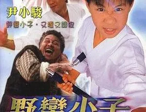 2003台湾新笑林小子之我最棒 国语无字幕MP4高清1080P-蓝海网