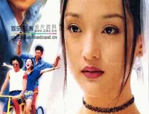 梨树花开 2008 大陆电影 国语中字高清版