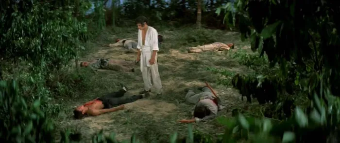 少林子弟 张彻 1974