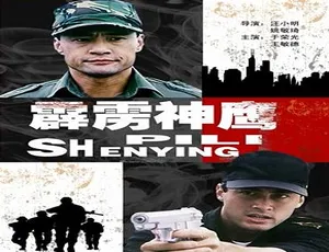1996中国香港动作大片《霹雳神鹰》普通话高清经典怀旧-蓝海网