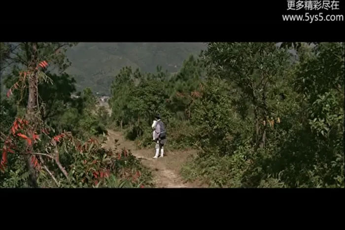 邵氏七仙女
