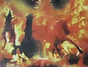 1995悲情布鲁克 剧情历史战争 汉语普通话 全1集