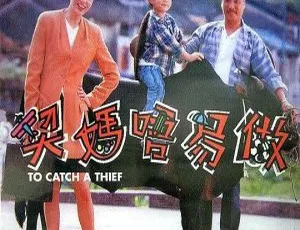 1991 香港电影 契妈唔易做 国粤双语中字