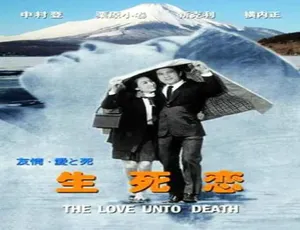 1971日本经典爱情电影生死恋国语配音高清收藏版-蓝海网