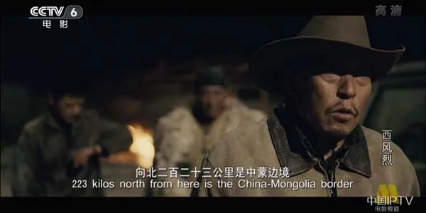 西部动作片 荒漠追逃