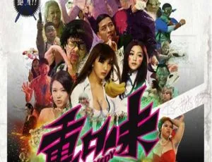 2013香港电影重口味 国粤双语中字 MKV高清-蓝海网