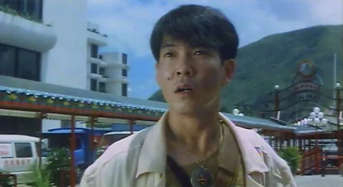 龙凤贼捉贼 1990