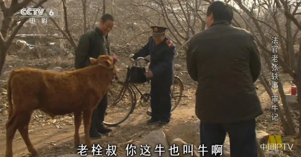 牲畜亲子鉴定案例