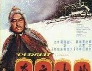 1972香港邵氏经典动作片《林冲夜奔》国语配音高清修复版
