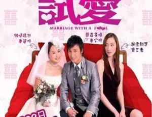 2006香港电影独家试爱Marriage With A Fool 方力申邓丽欣吴佩慈主演 国粤双语音轨-蓝海网