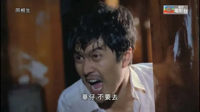 刘德华林威动作片