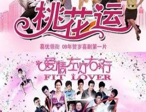 2008香港经典喜剧爱情《桃花运》国语无字 CCTV6HD高清片源-蓝海网