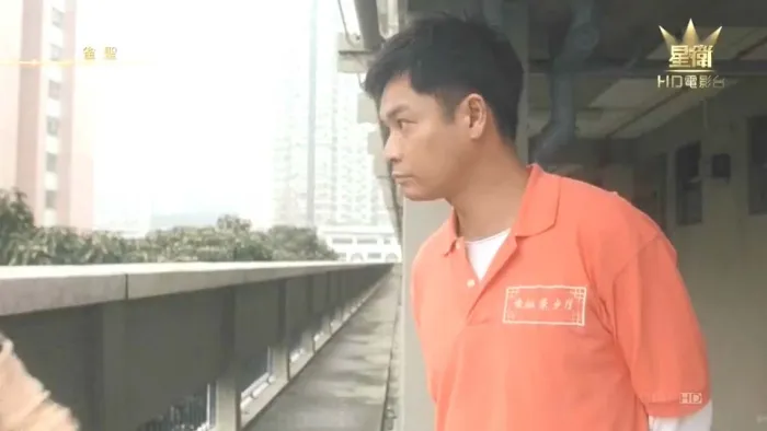 香港功夫麻将电影