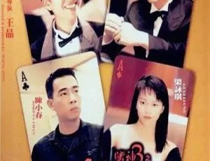 1996香港赌神3之少年赌神 粤语中字 高清修复 1080P MKV2006李连杰动作电影霍元甲国语无字幕孙俪董勇中村狮童