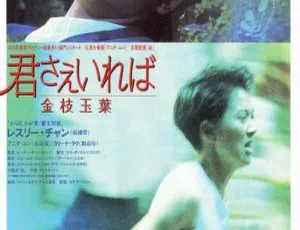 1994香港经典金枝玉叶 粤语中字翡翠台HD修复版 张国荣袁咏仪刘嘉玲怀旧佳作