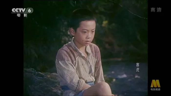 赛虎 1982