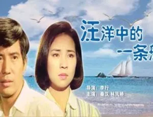 汪洋中的一条船 1978 中国大陆 国语中字1986年中国经典影片小萝卜头国语中英字幕高清修复版